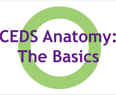 CEDS Anatomy: The Basics