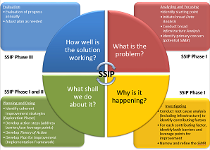 SSIP four quads: Problem, Why, What to do, How well working