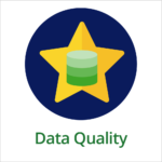 Data Governance Toolkit: Data Quality