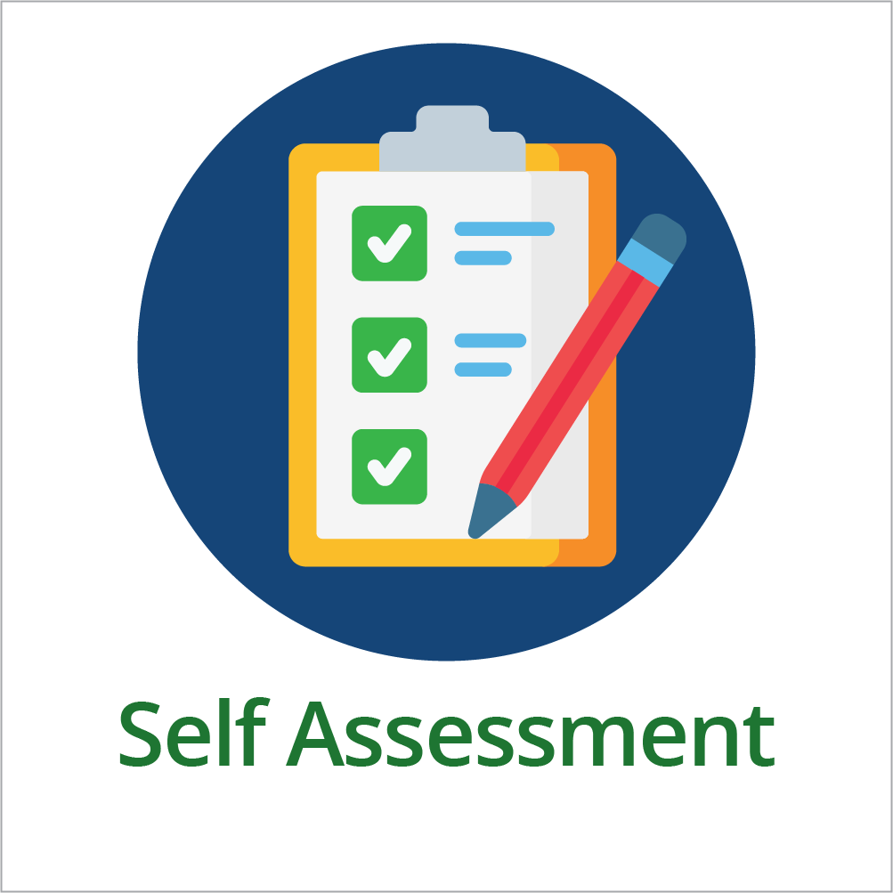 DaSy Framework Self Assessment Tool DaSy Center