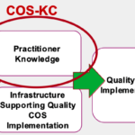 Improving Data Quality Using the Child Outcomes Summary Knowledge Check (COS-KC) with Practitioners